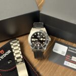 Tudor Pelagos 25407N